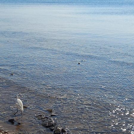 Le Tre Coccinelle Apartman Porto Cesareo Kültér fotó